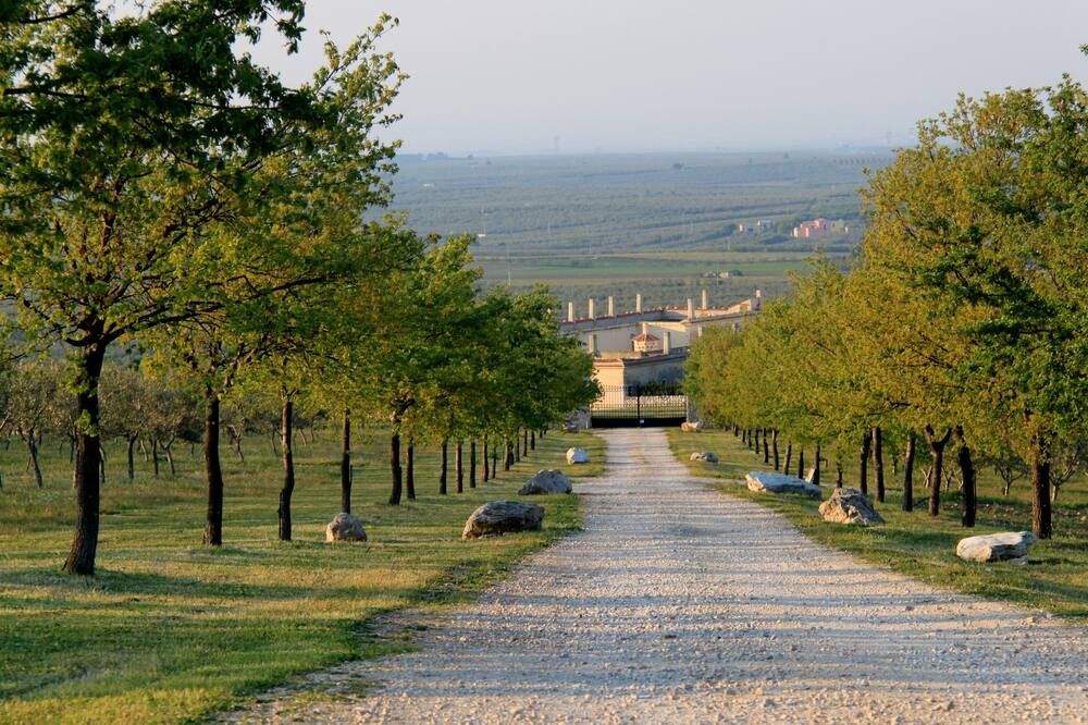 Vista del exterior