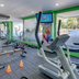 Gimnasio