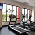 Gimnasio