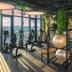 Gimnasio