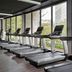 Gimnasio