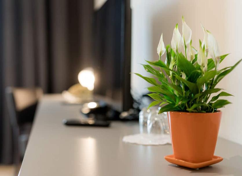 Servicio de la habitación Foto