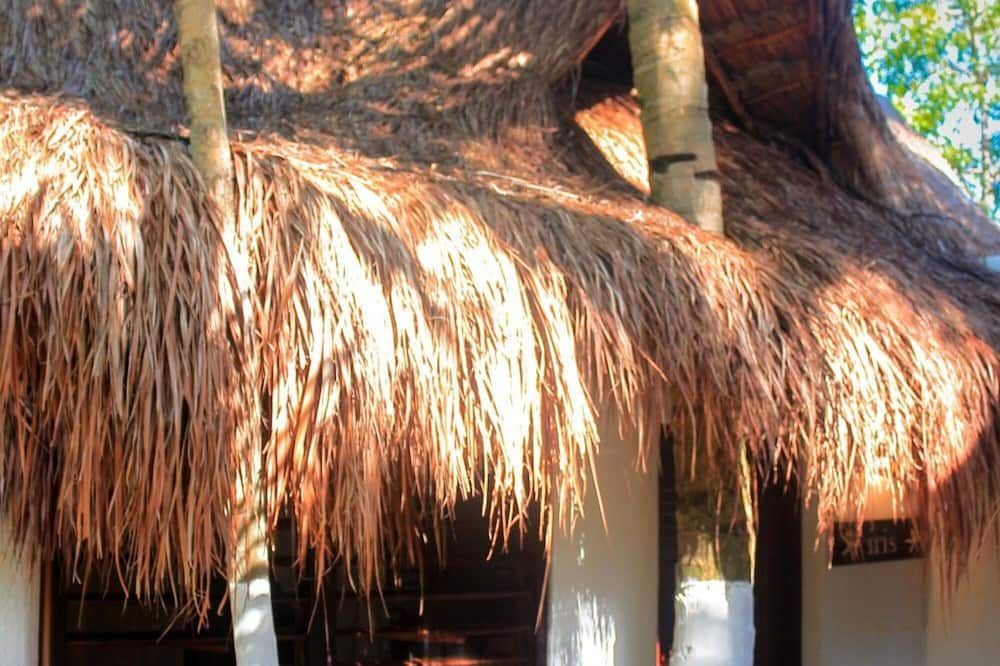 Vista del exterior