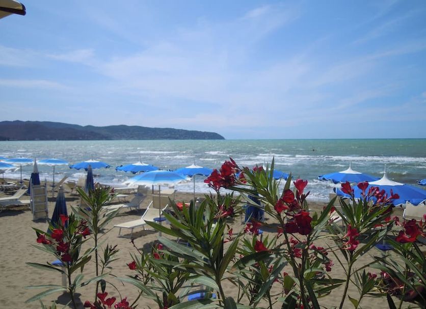 Playa Foto