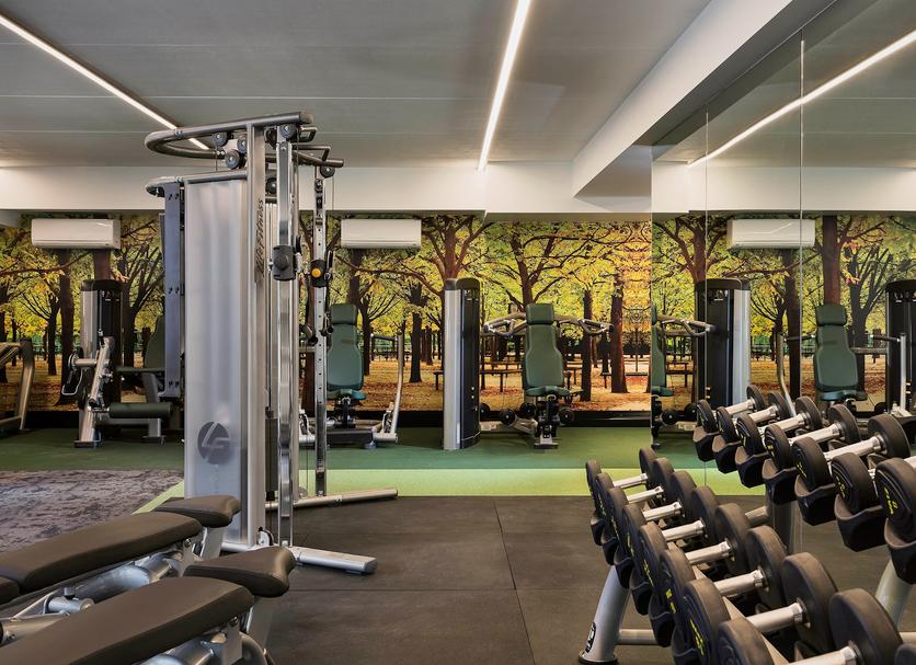 Gimnasio Foto
