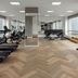 Gimnasio