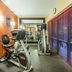 Gimnasio