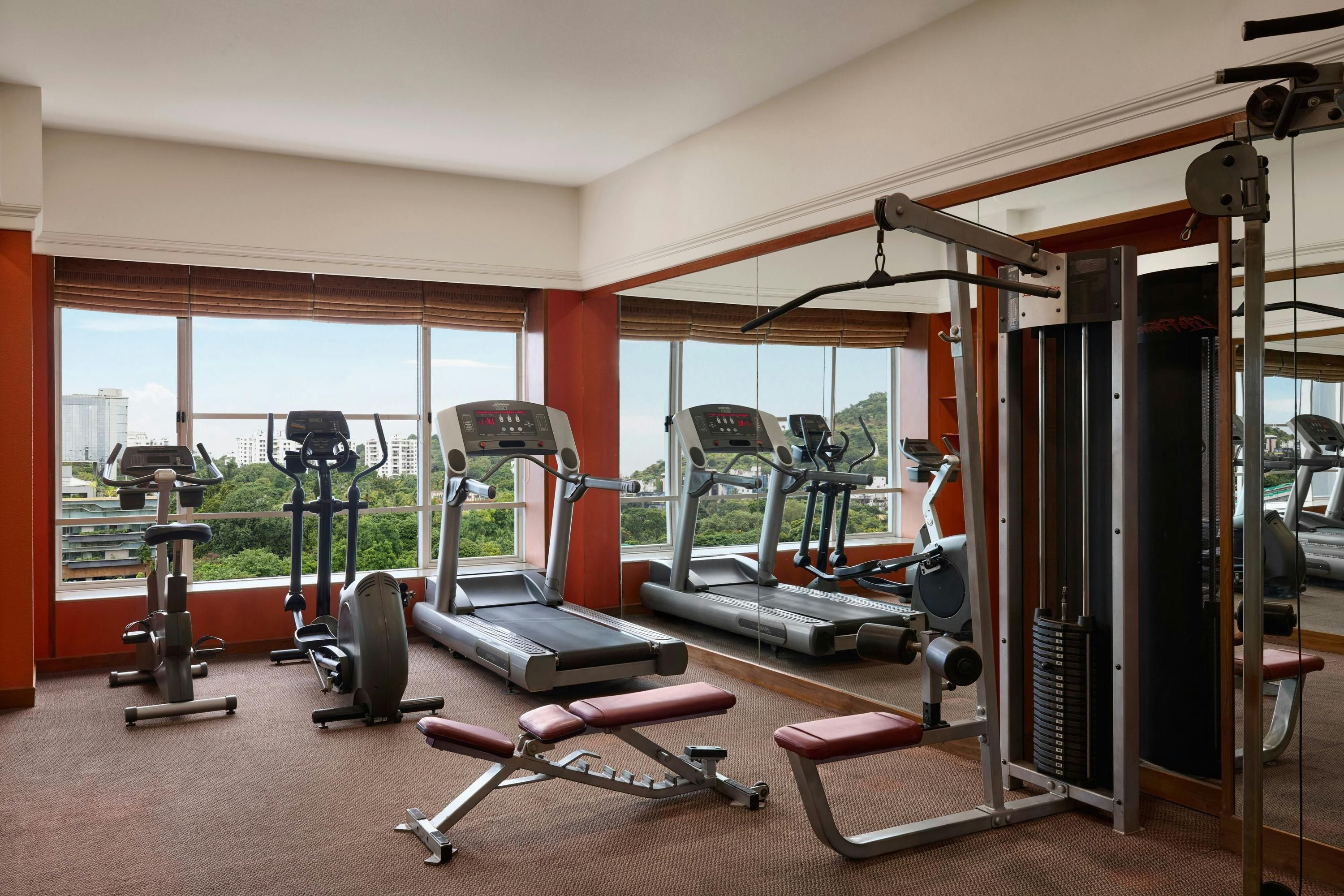 Gimnasio