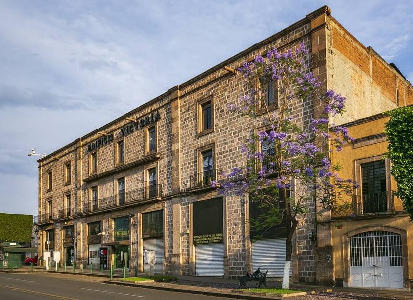 Edificio Foto