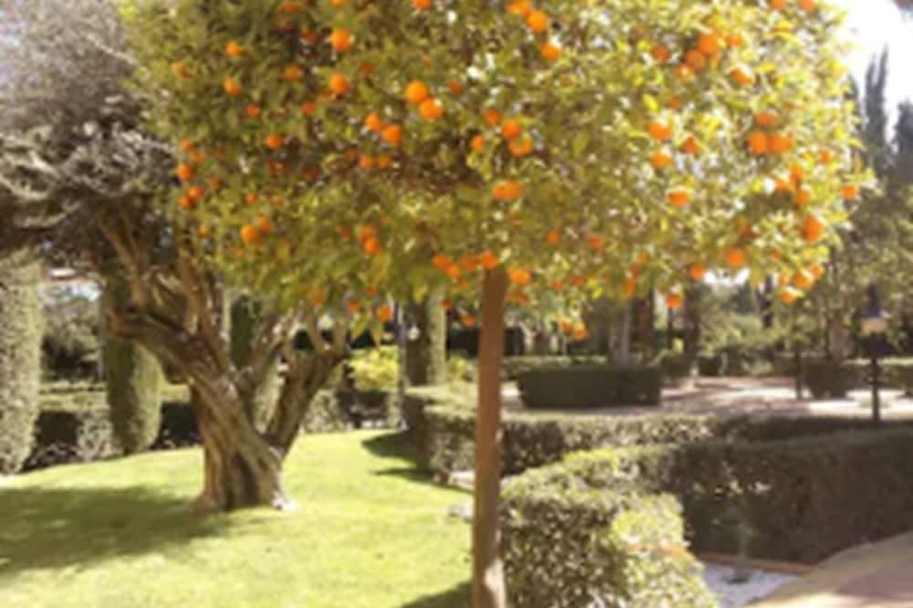 Vista del exterior