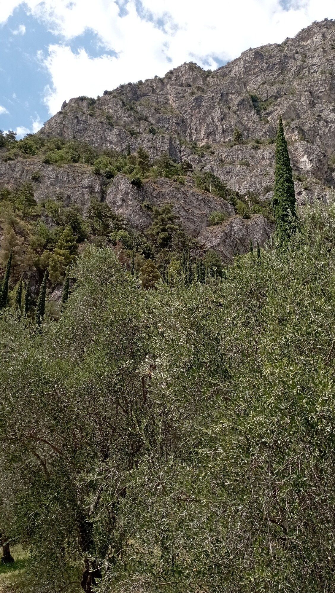 Vista del exterior