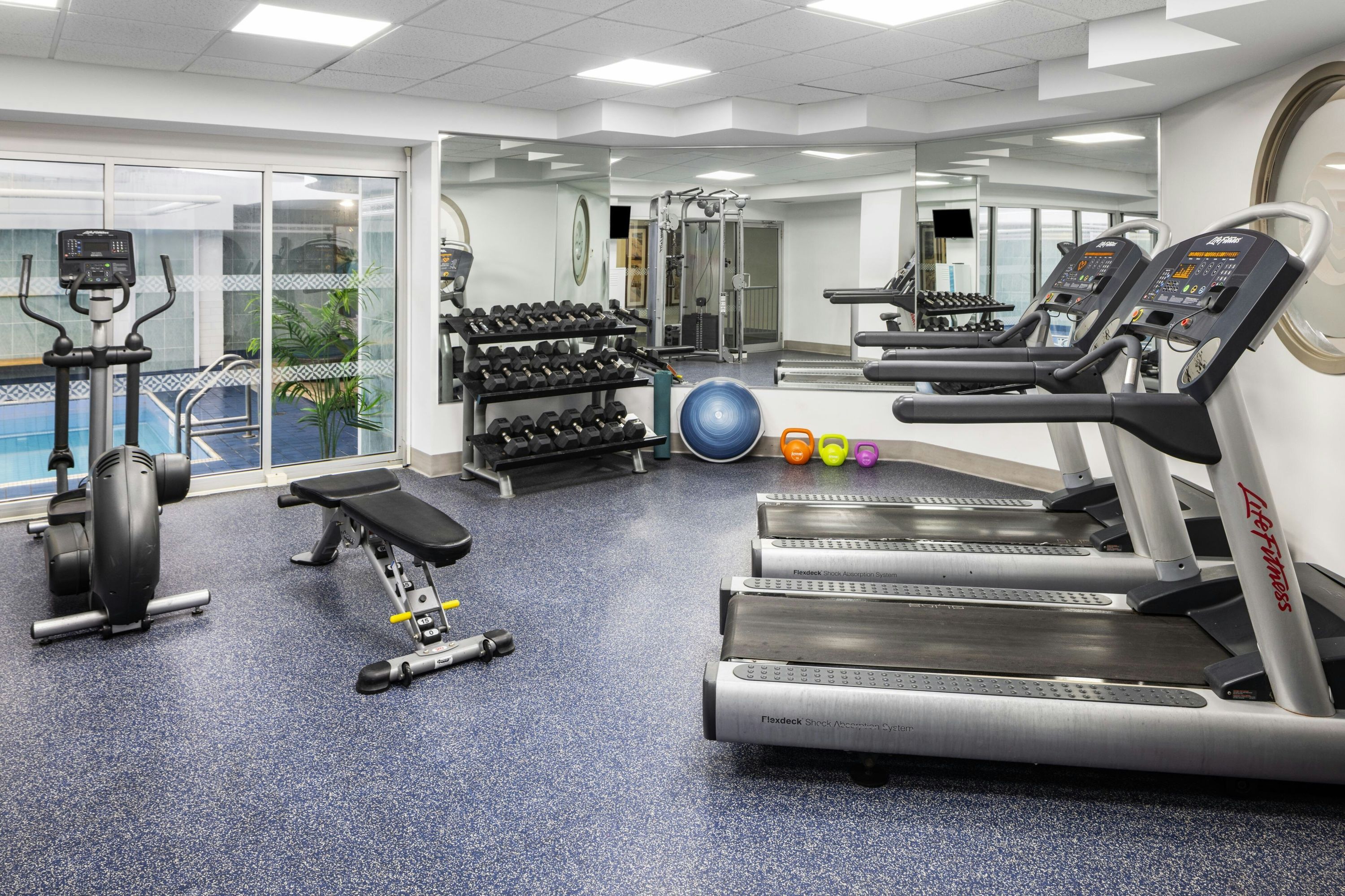Gimnasio