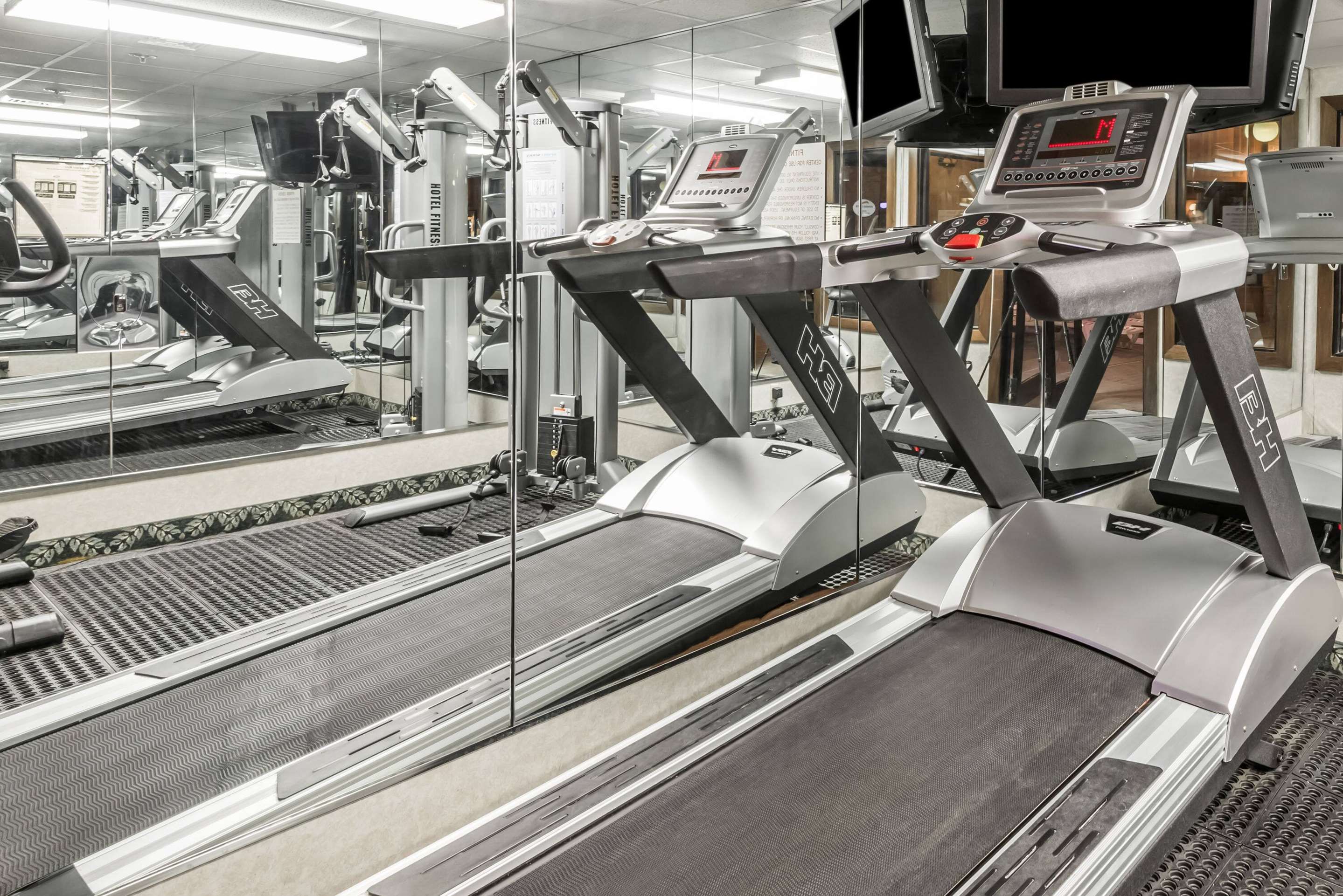 Gimnasio