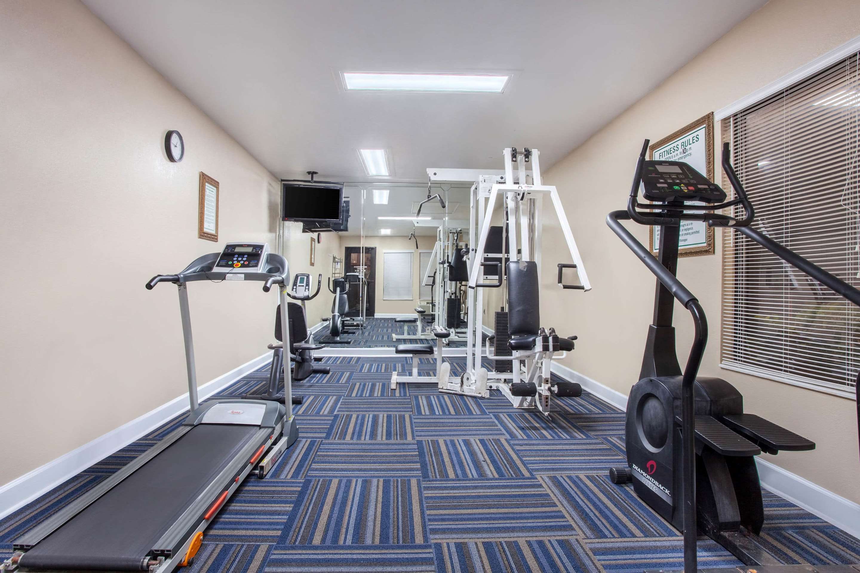 Gimnasio