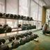 Gimnasio
