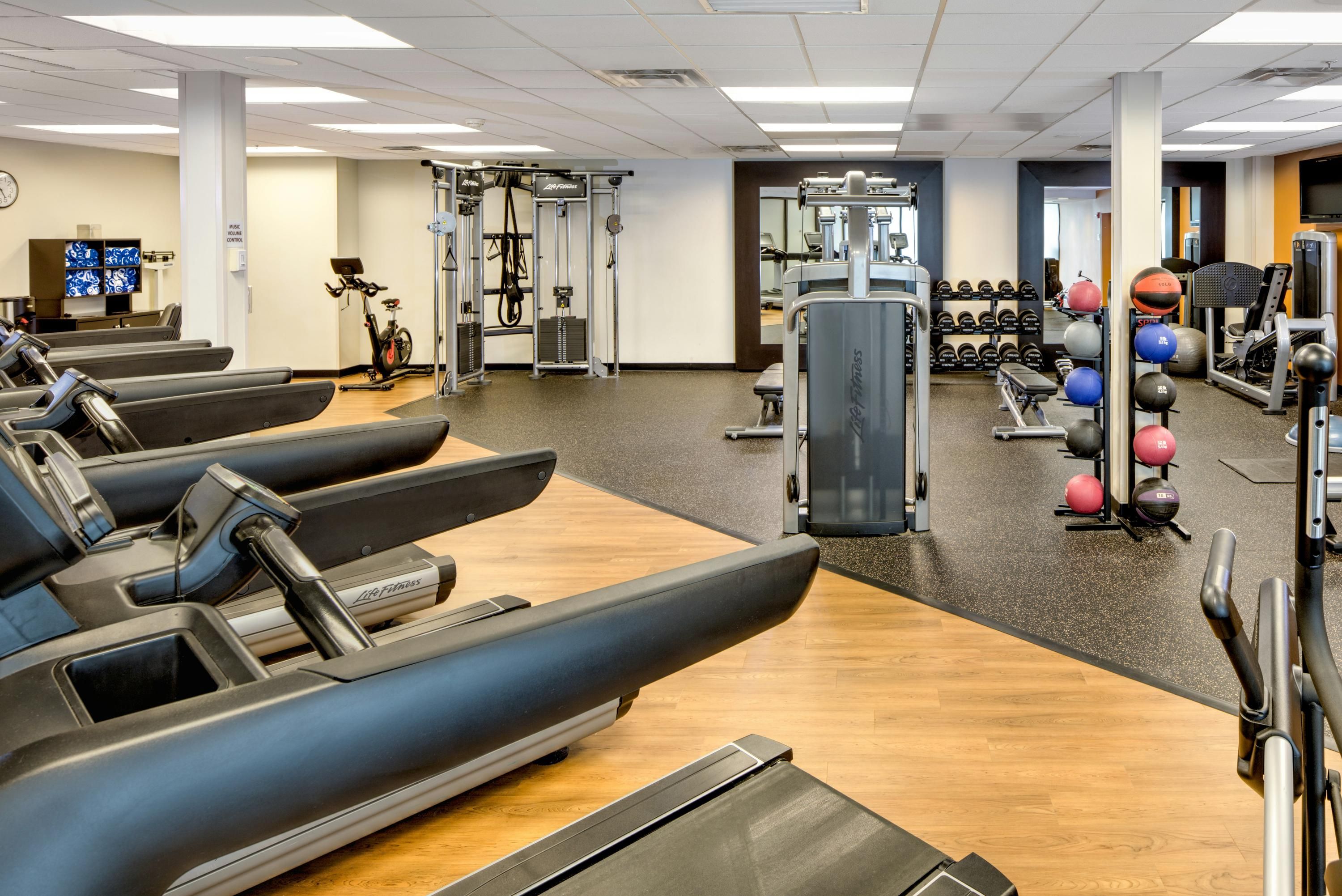 Gimnasio