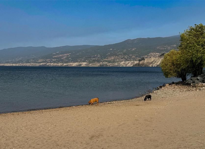 Playa Foto