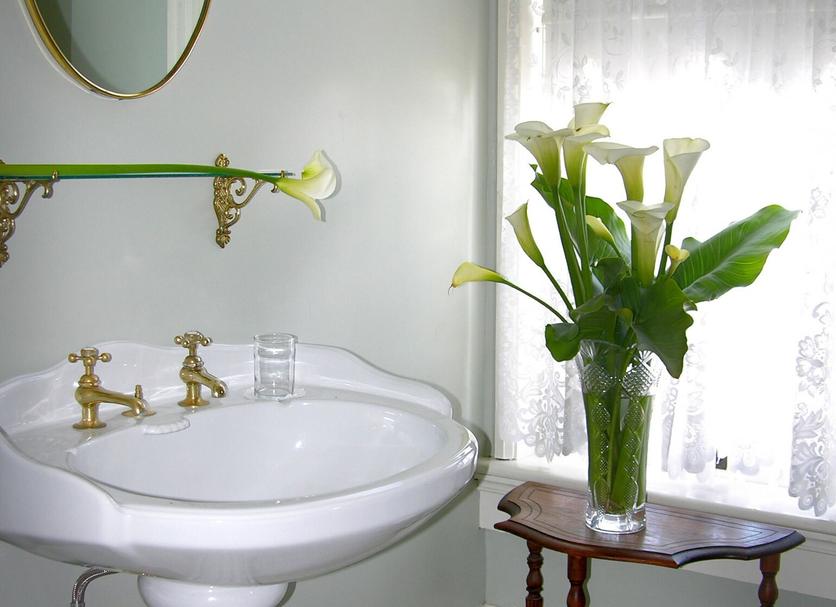 Baño Foto
