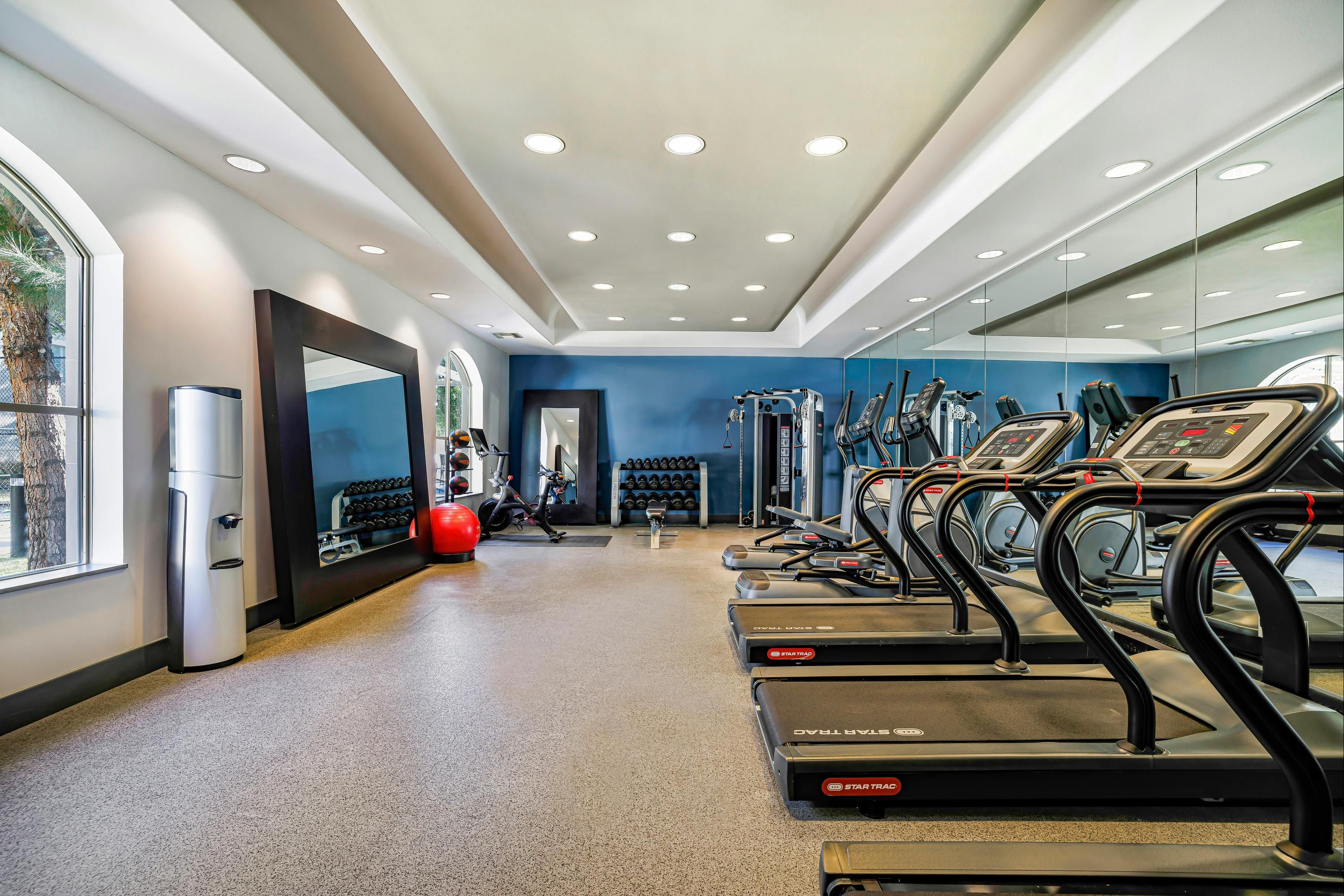 Gimnasio