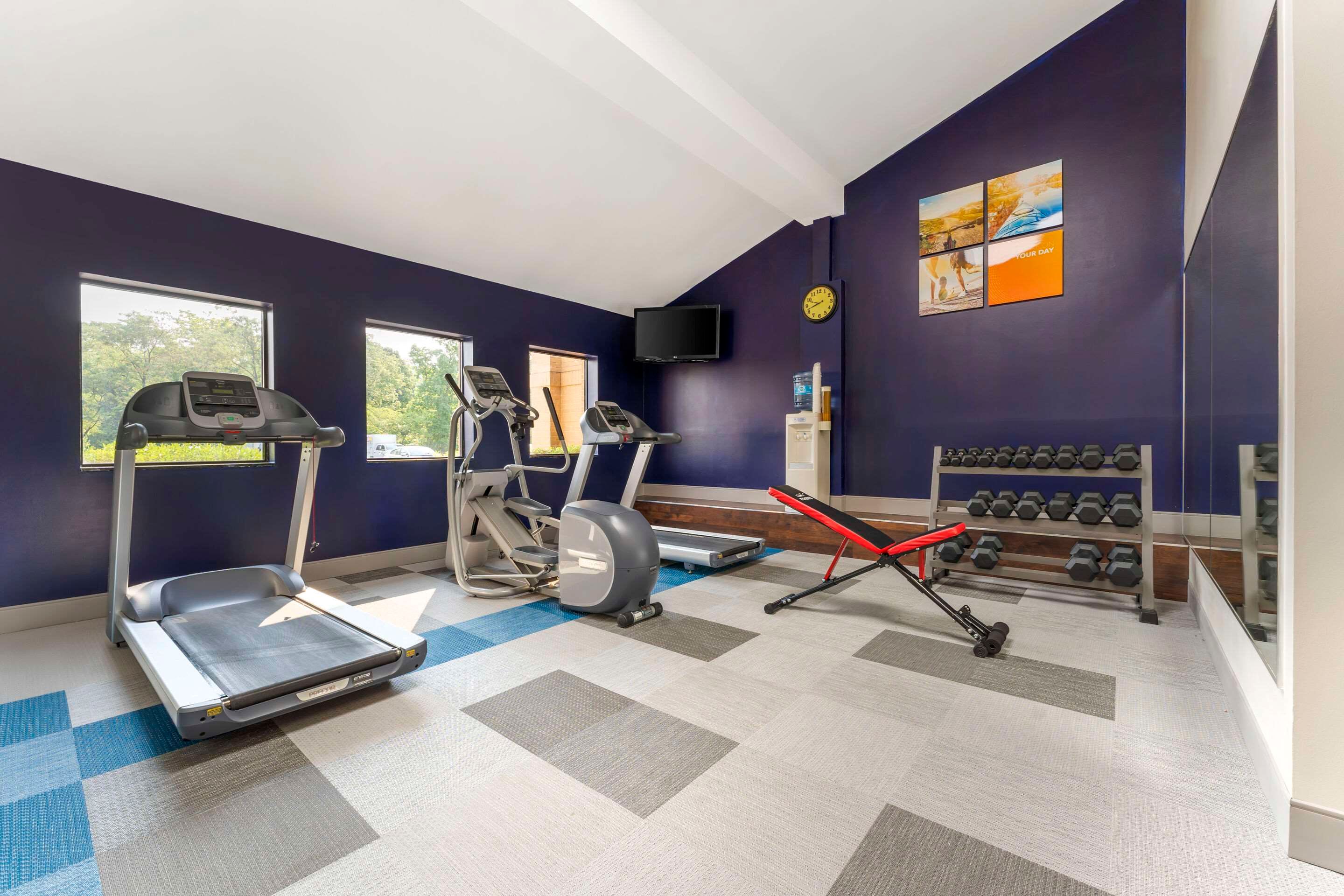 Gimnasio
