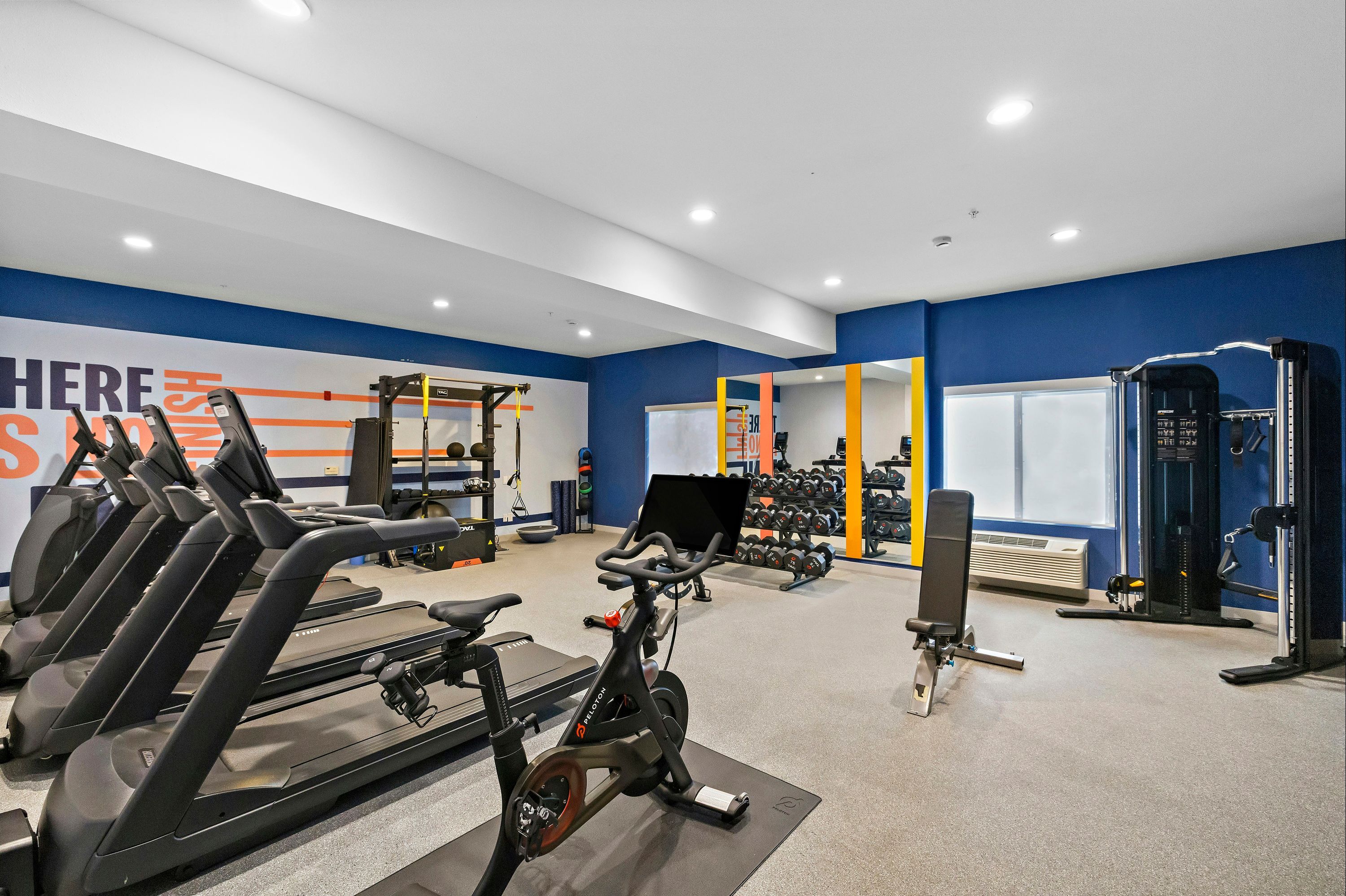 Gimnasio
