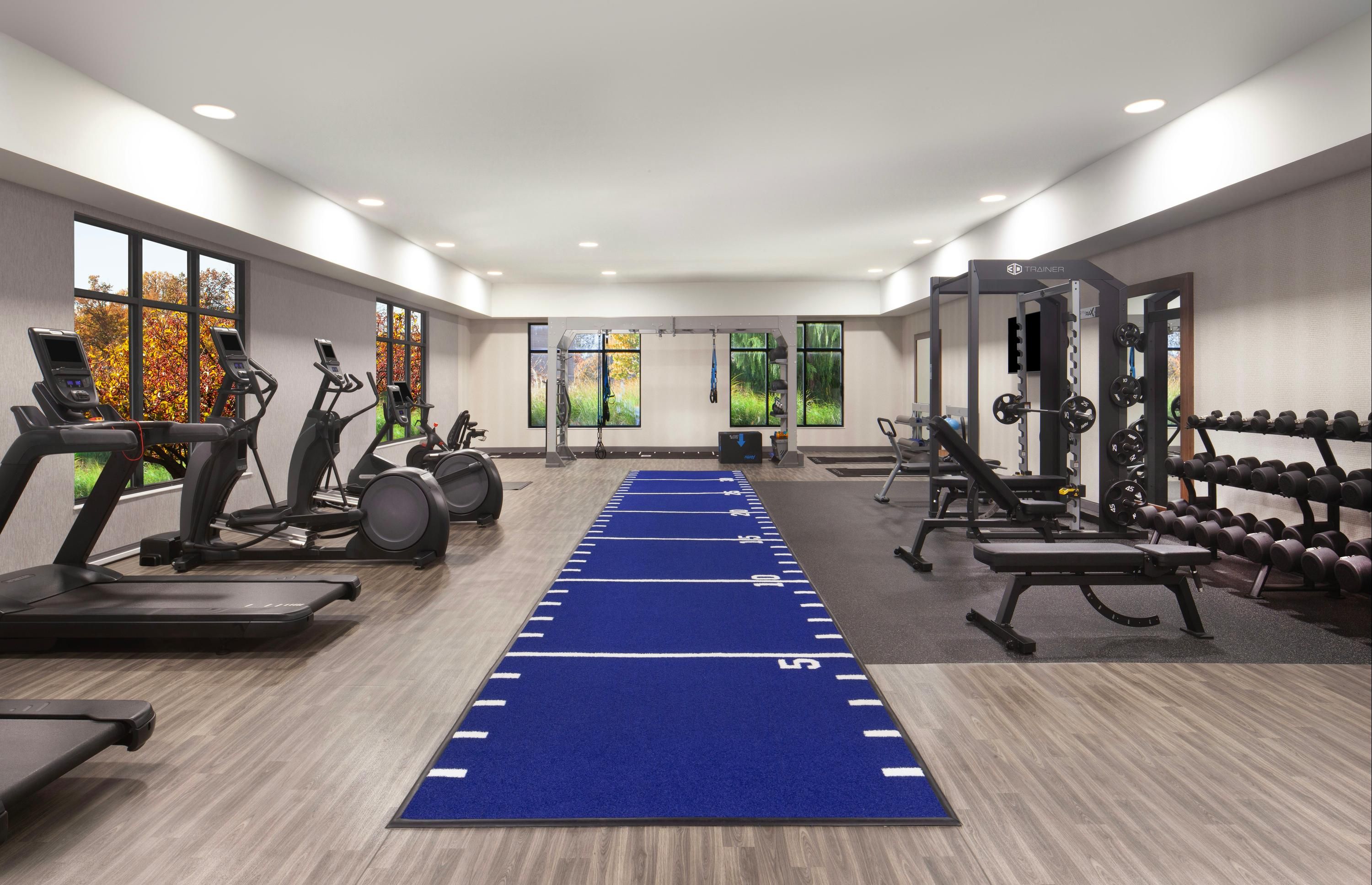 Gimnasio