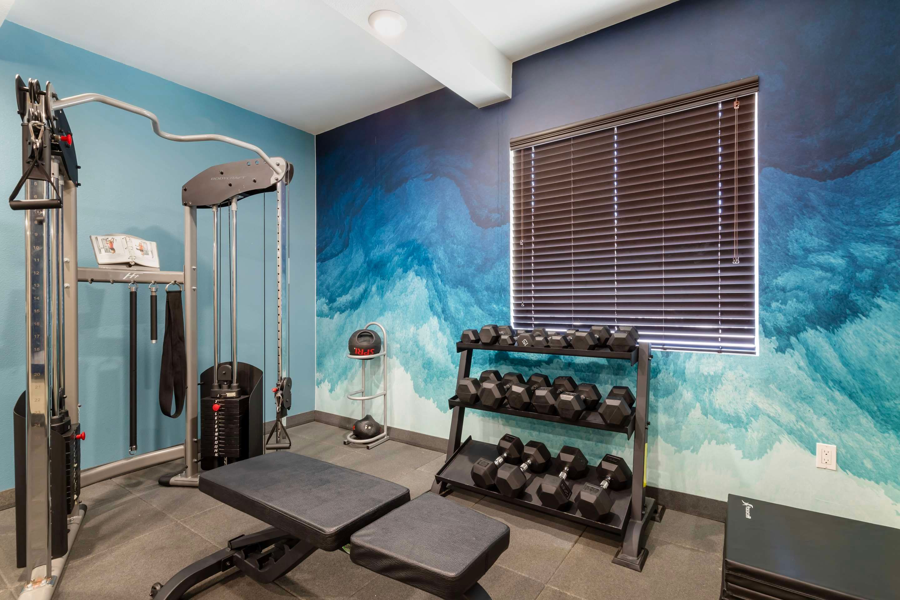 Gimnasio