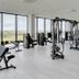 Gimnasio