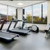 Gimnasio