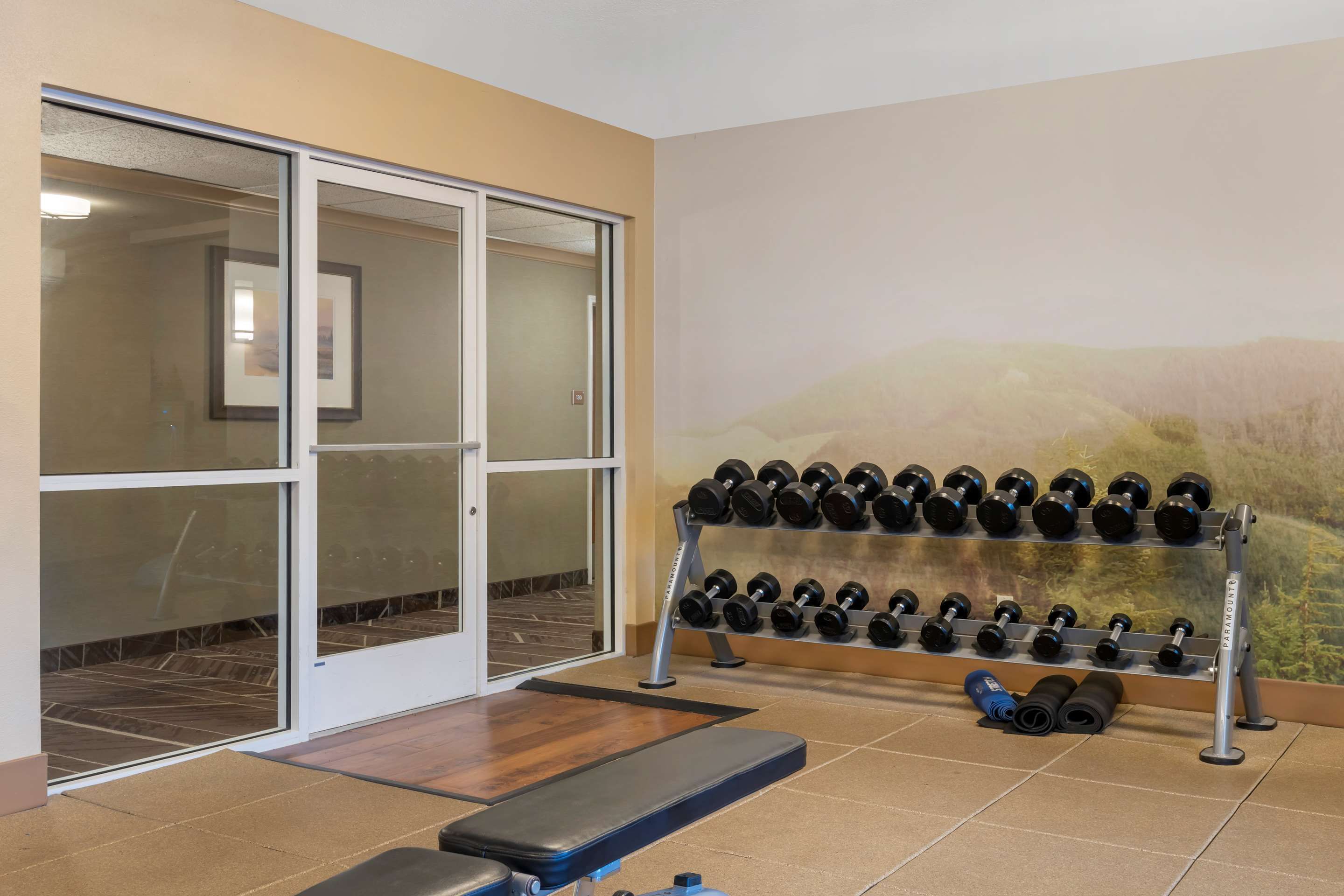 Gimnasio