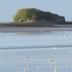 Otro