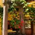 Vista del exterior