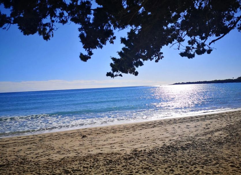 Playa Foto