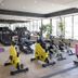 Gimnasio