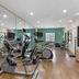Gimnasio
