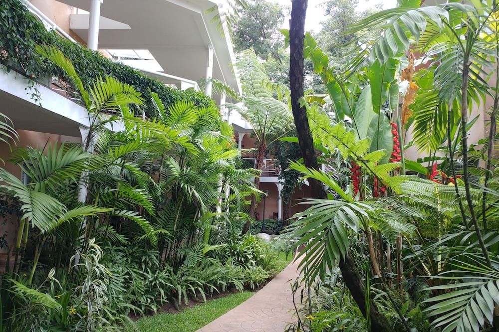 Vista del exterior