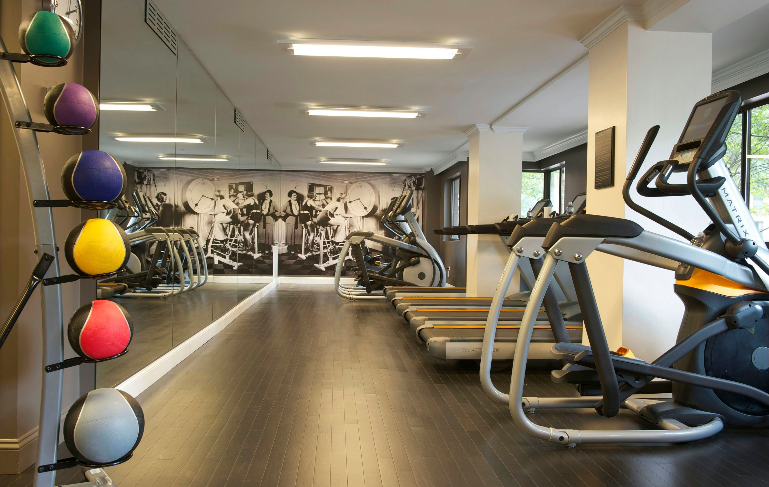 Gimnasio