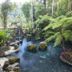 Otro