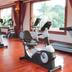 Gimnasio