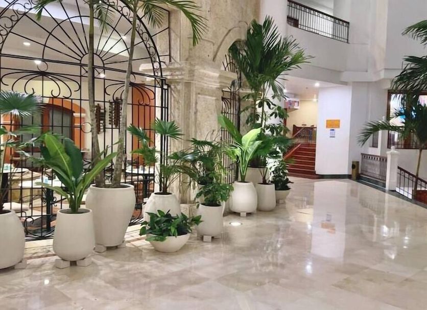 Recepción Foto