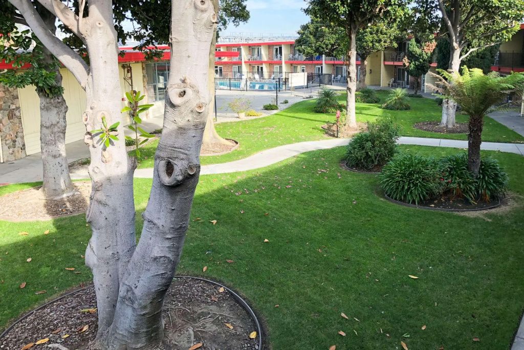 Vista del exterior
