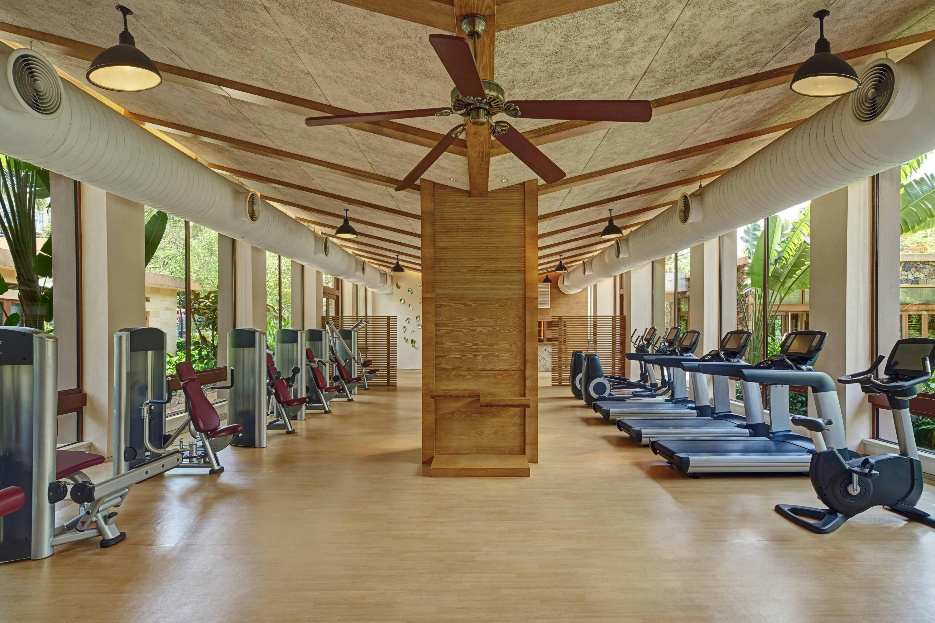 Gimnasio