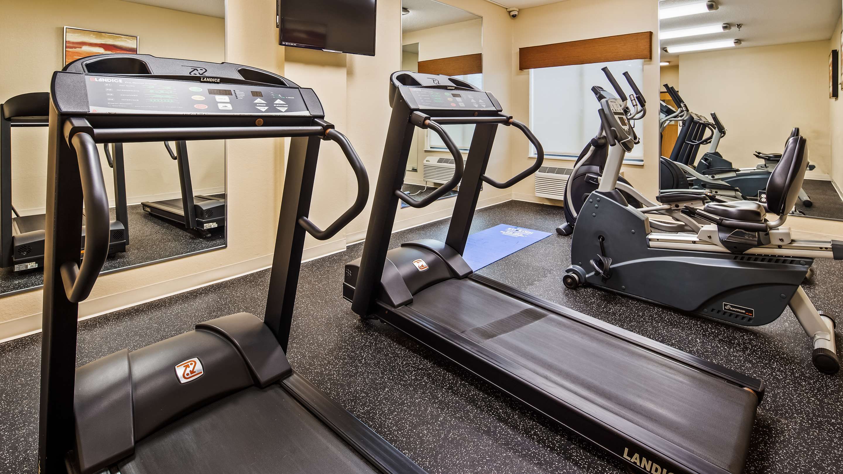 Gimnasio