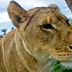 Otro