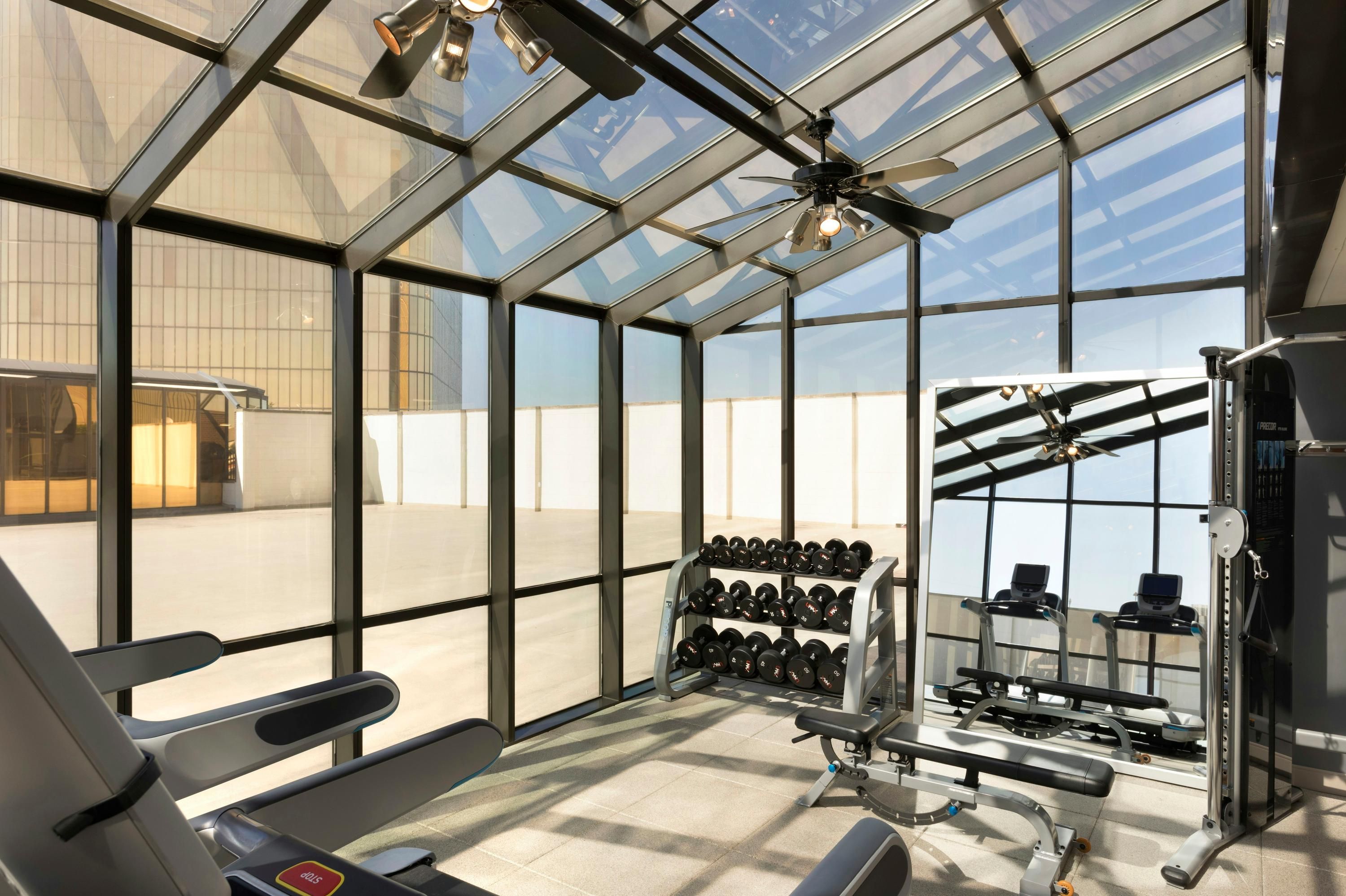 Gimnasio