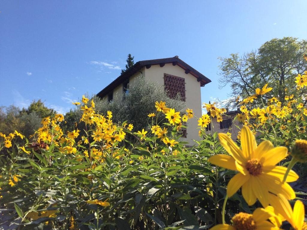 Vista del exterior