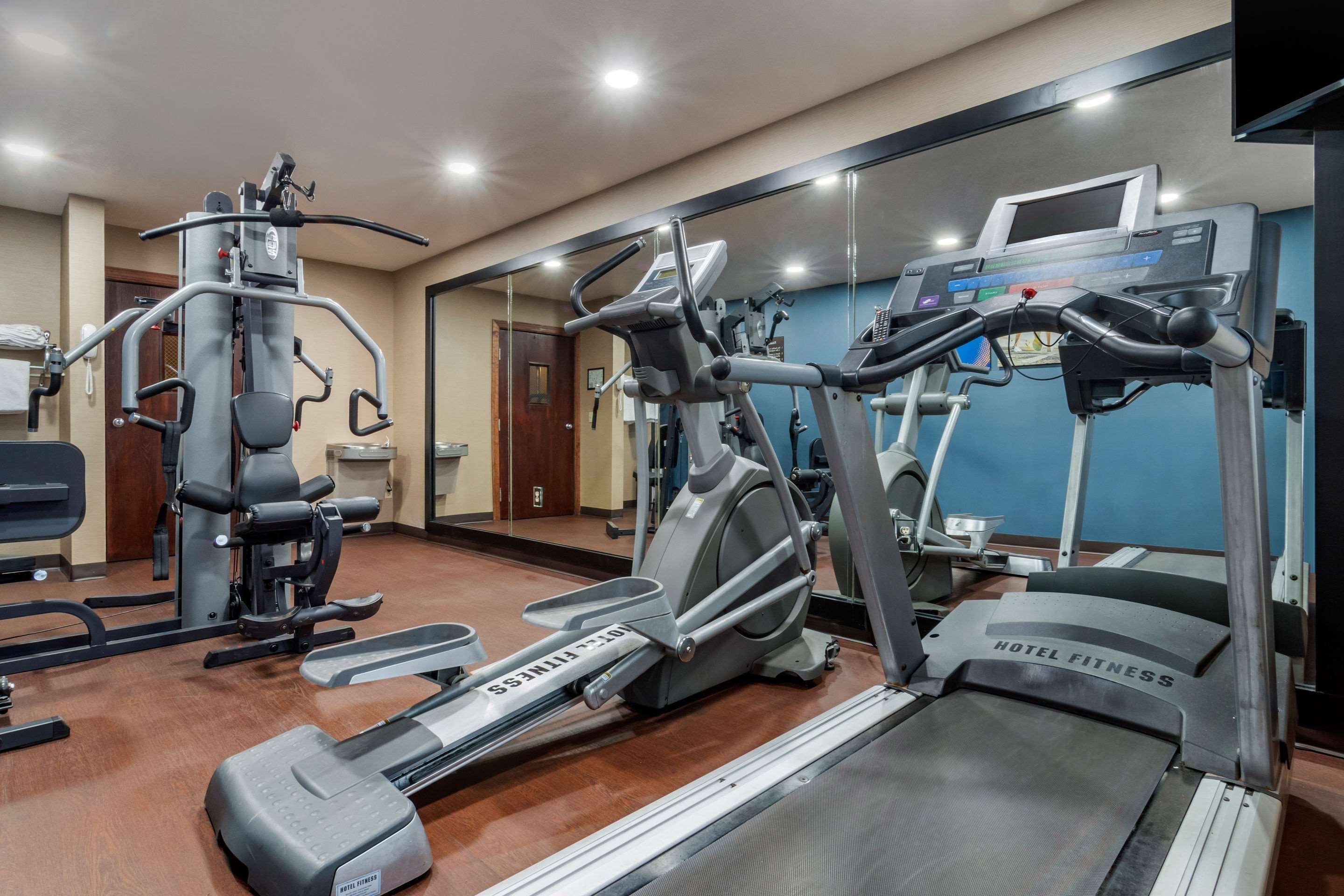 Gimnasio
