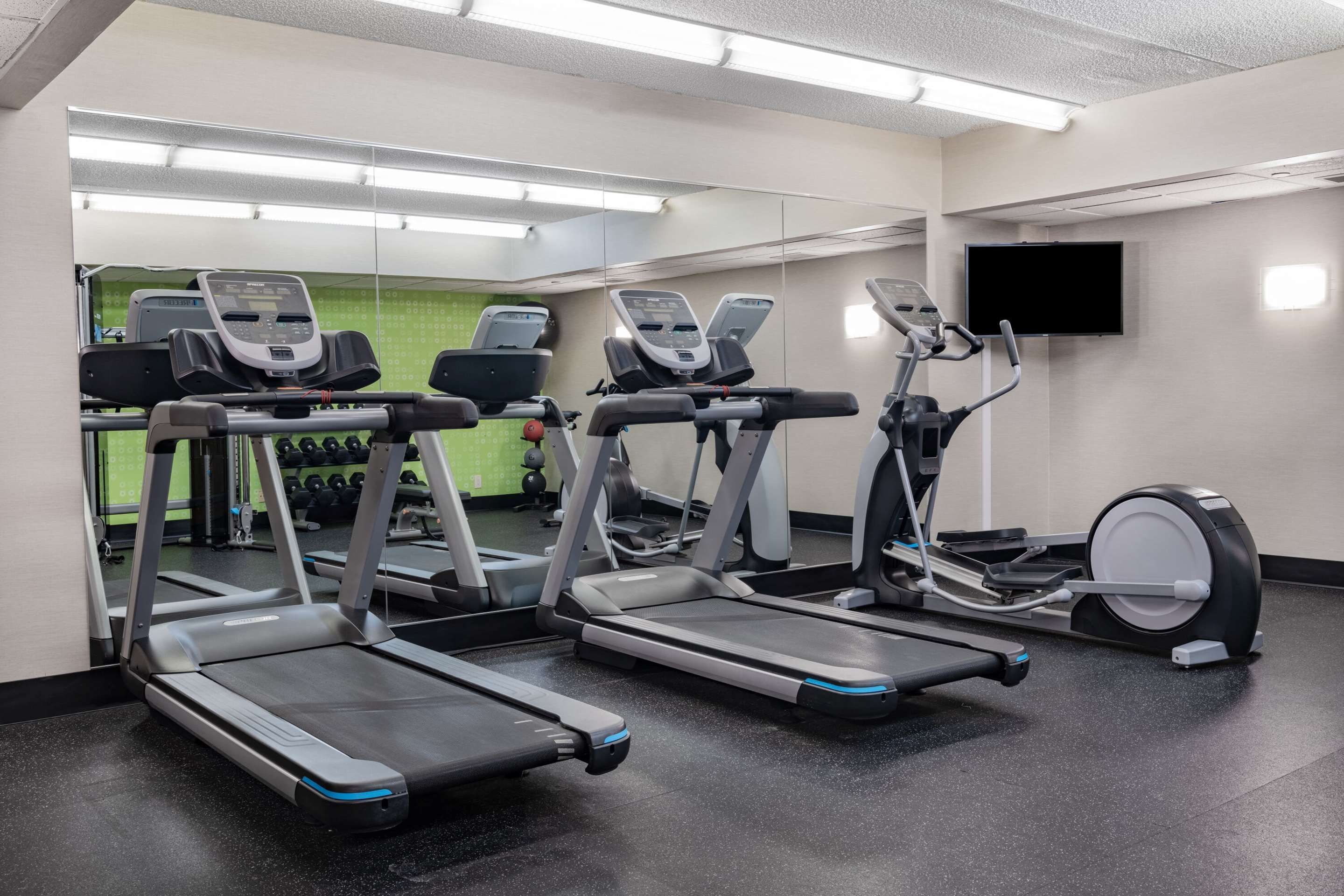 Gimnasio