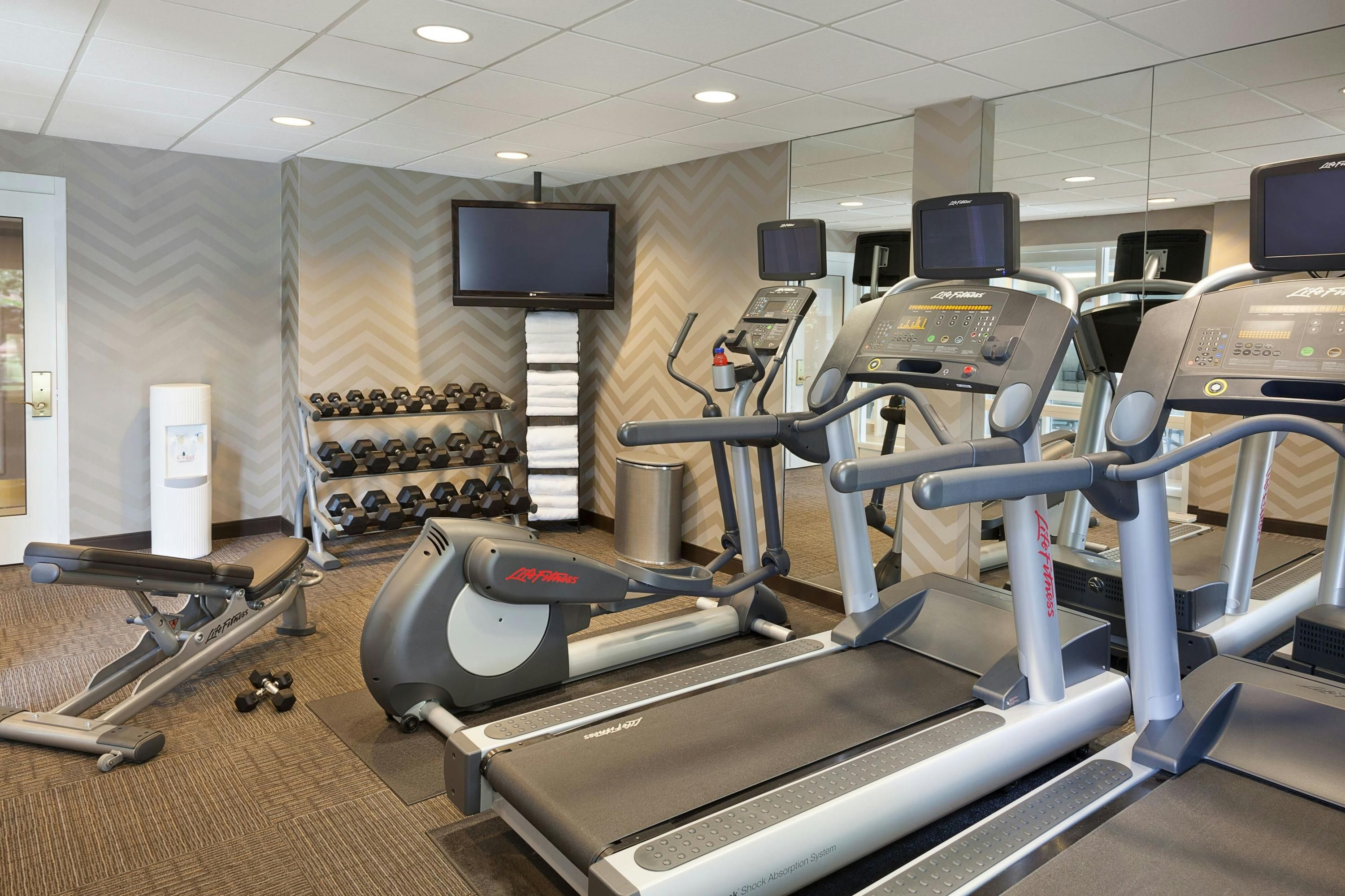 Gimnasio