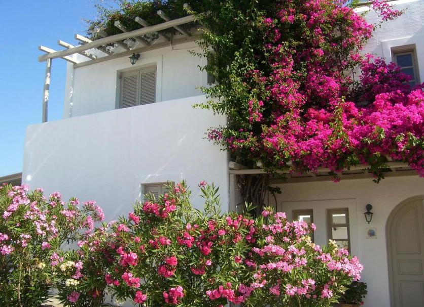 Vista del exterior Foto